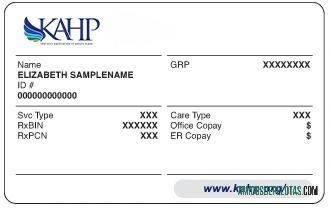 Cartão de seguro saúde de Kentucky amostra